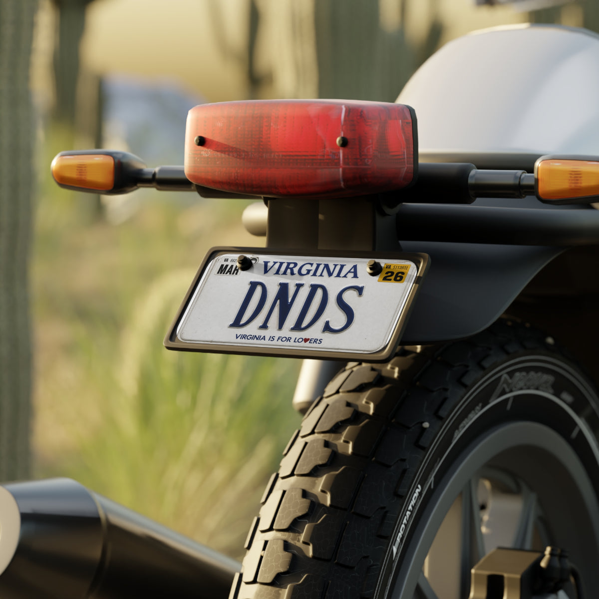 DNDS BIKE PLATE
